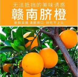 甜入心扉的贛南珍品——5斤江西贛州薄皮臍橙，品味正宗鮮甜的舌尖盛宴