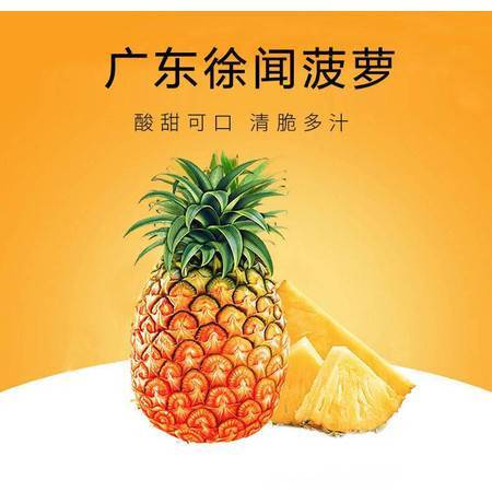 徐聞鳳梨 嶺南佳果，香甜禮贈——探秘廣東特產新鮮大菠蘿